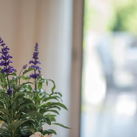 Apartmán Ana S Krk Town