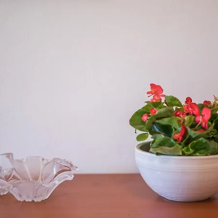 Ana S Apartman Krk Town